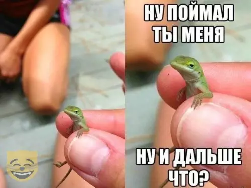 Смешная картинка №324070