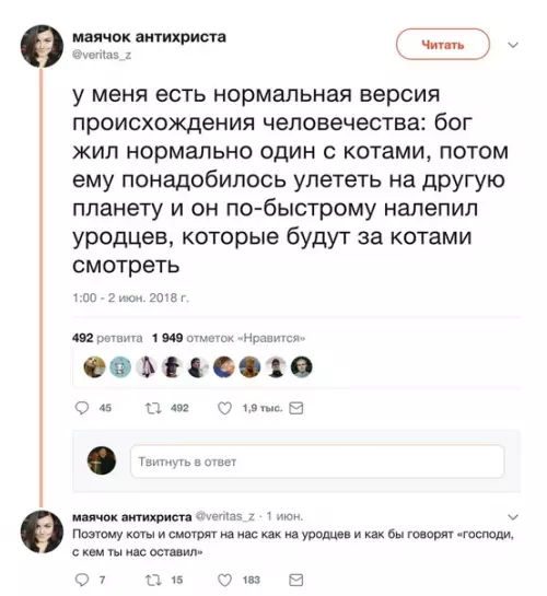 Смешная картинка №365260 коты, кошки