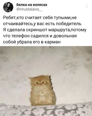 Смешная картинка №686122