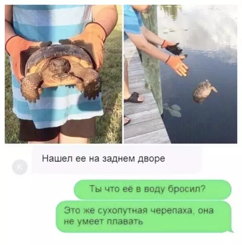 Смешная картинка №379789