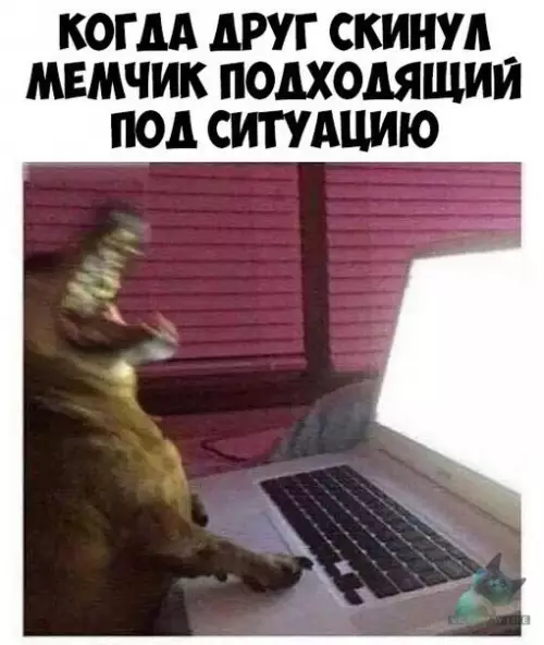 Смешная картинка №305745