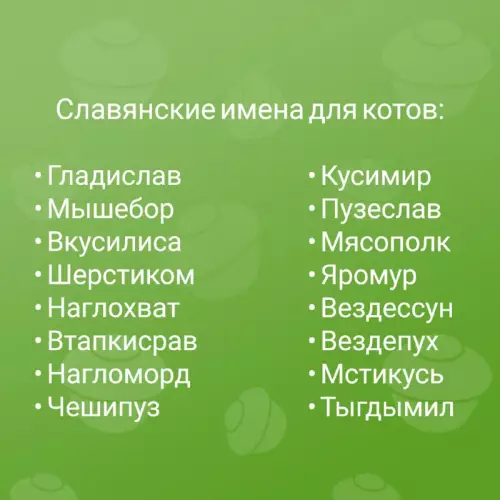 Смешная картинка №672298 Коты 