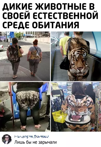 Смешная картинка №583965