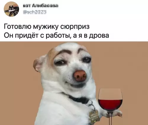Смешная картинка №564486 Cюpпpиз!