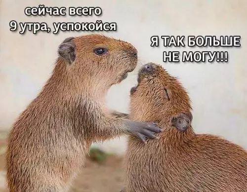 Смешная картинка №675252
