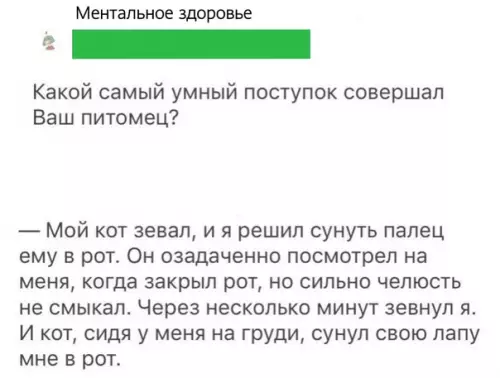 Смешная картинка №510715