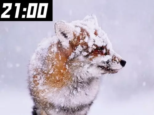 продолжение Смешная картинка №563249