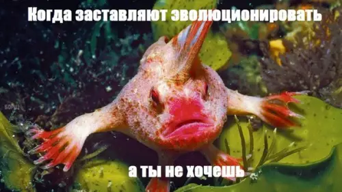 Смешная картинка №243629