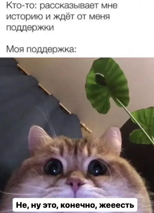 Смешная картинка №716733