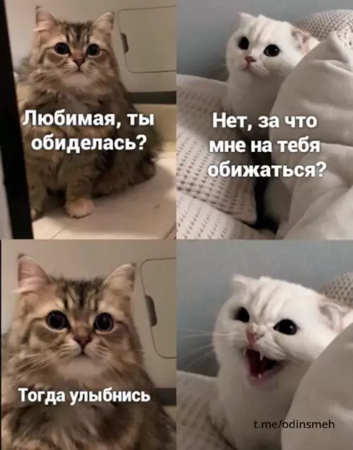 Смешная картинка №667954 картинки