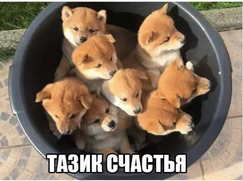 Смешная картинка №191718