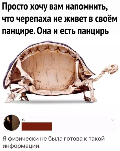 Смешная картинка №508519 Мой мир больше не будет прежним...