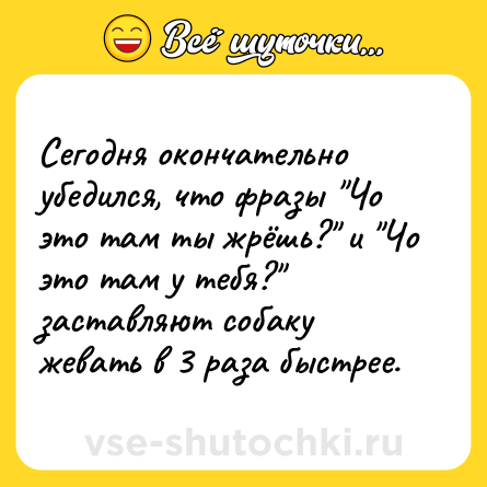 Шутка: Сегодня окончательно убедился, что фразы 