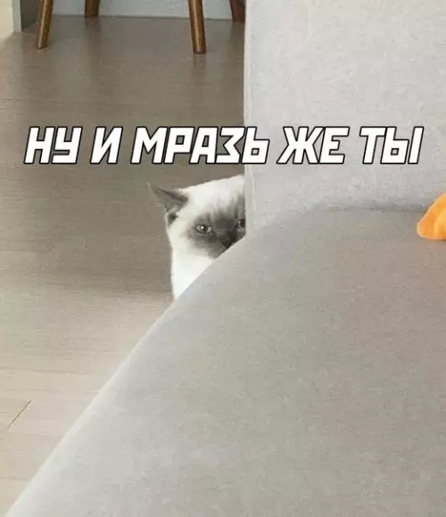 продолжение Смешная картинка №567655
