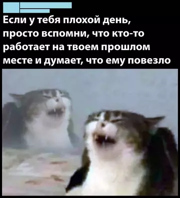 Смешная картинка №742097