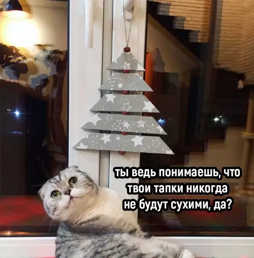 продолжение Смешная картинка №668323 Жecтoкoe oбpaщeниe с живoтными