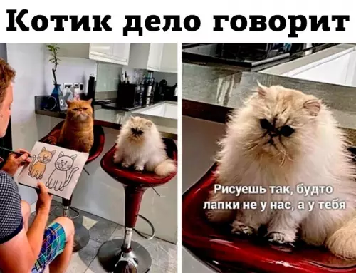 Кот-критик разносит художника 😼🎨 - Котик дело говорит. Рисуешь так, будто лапки не у нас,