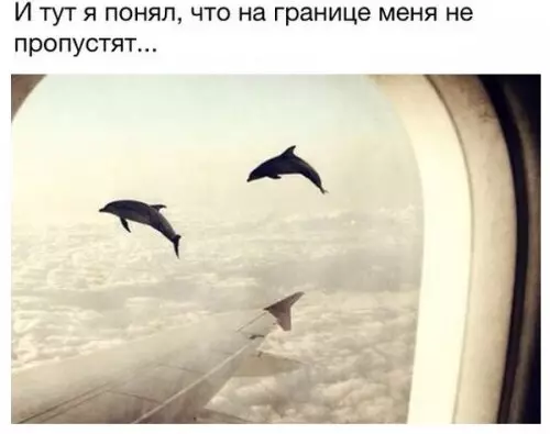 Смешная картинка №307825