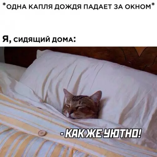 Смешная картинка №699334 осень