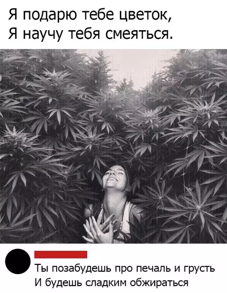 Смешная картинка №452257 Я один это пропел?)