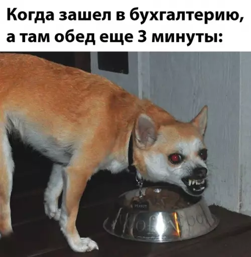 Смешная картинка №613557