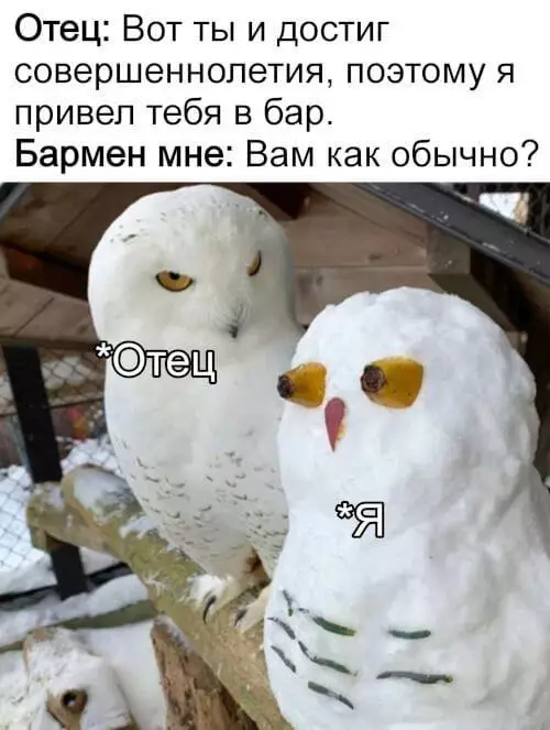 Смешная картинка №743868 Попался засранец 