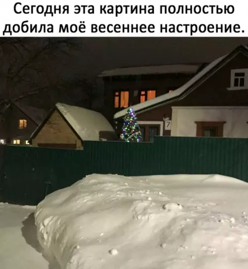 Смешная картинка №260206
