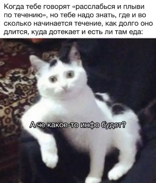 Когда ты не любитель сюрпризов 😼 - Когда тебе говорят расслабься и плыви по течению, но тебе
