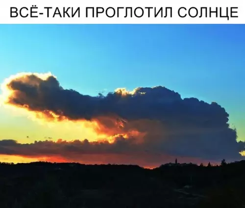 Смешная картинка №319047