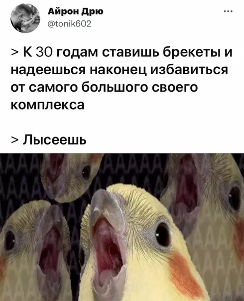 Смешная картинка №590757