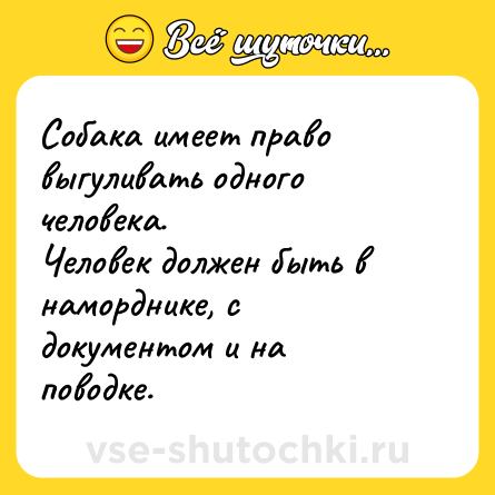 Шутка: Собака имеет право выгуливать одного человека.<br>Человек должен быть в наморднике, с документом и на поводке.
