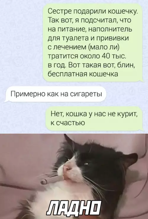 Смешная картинка №665381