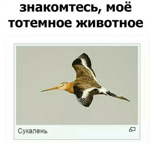Смешная картинка №217240