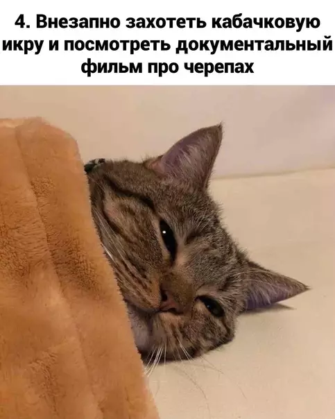 продолжение Смешная картинка №600277 Инcтpyкция для нaивныx
