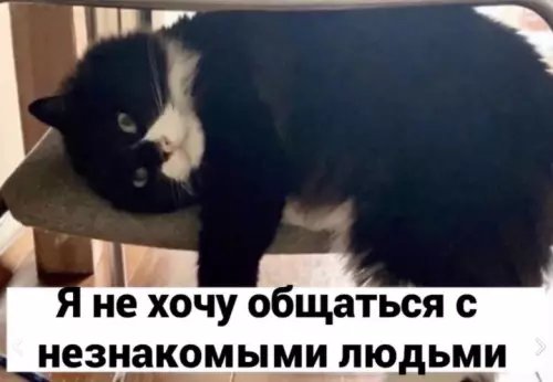 Смешная картинка №611643 Когда интроверт ищет работу: интроверты