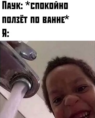 Смешная картинка №373954