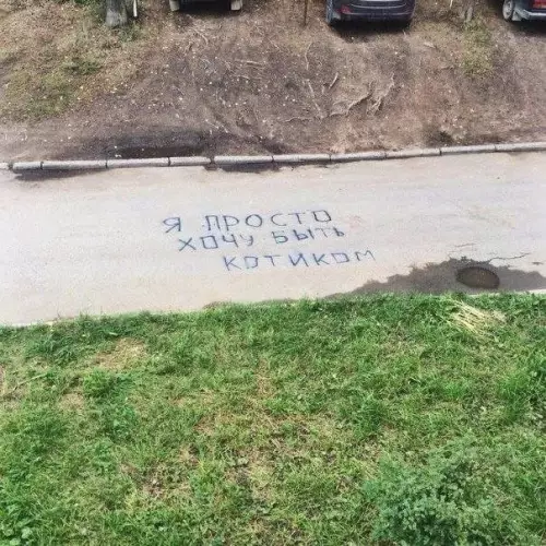 Смешная картинка №660834 я просто хочу быть котиком надписи
