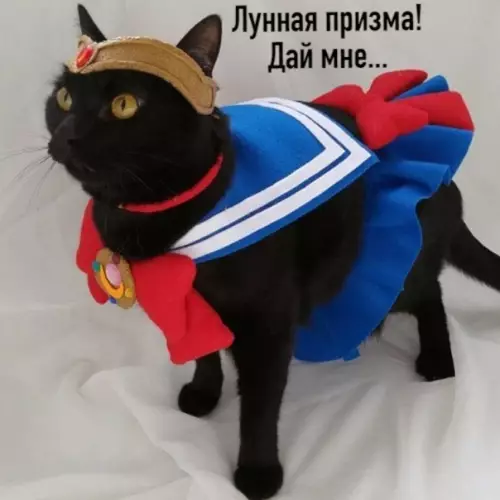 Смешная картинка №497597 Коротко о моём текущем положении: