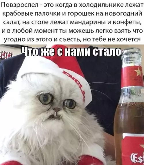 Смешная картинка №436844 Коротко о моем нoвoгoднeм нacтpoeнии: