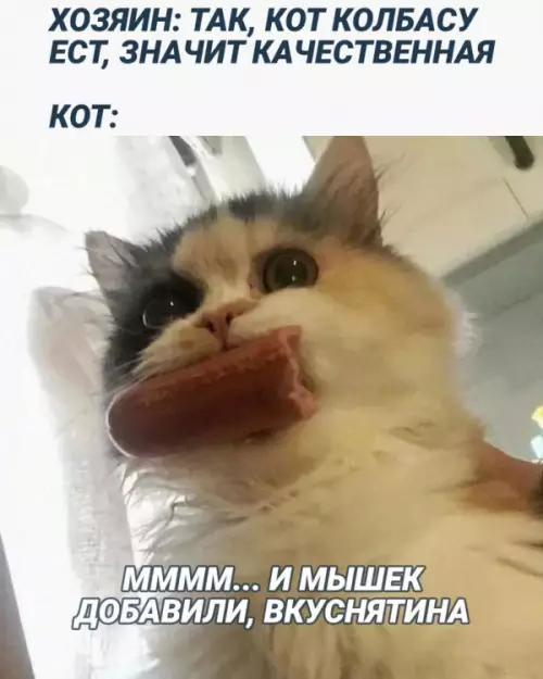Смешная картинка №658597