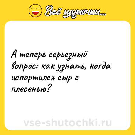 Шутка: А теперь серьезный вопрос: как узнать, когда испортился сыр с плесенью?