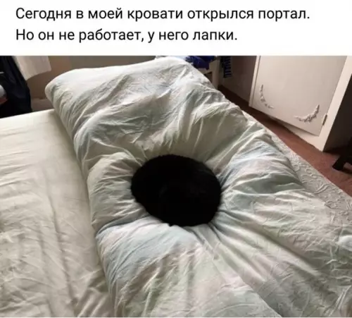 Смешная картинка №246123