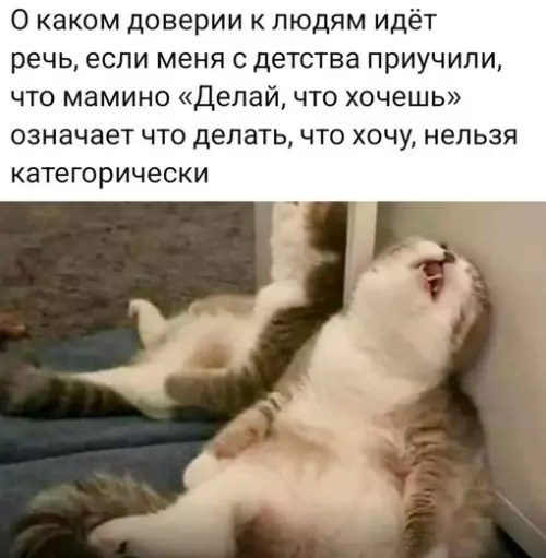 Смешная картинка №716390