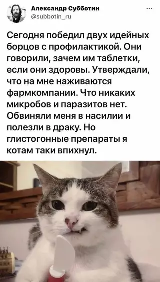 Смешная картинка №664258 Коты