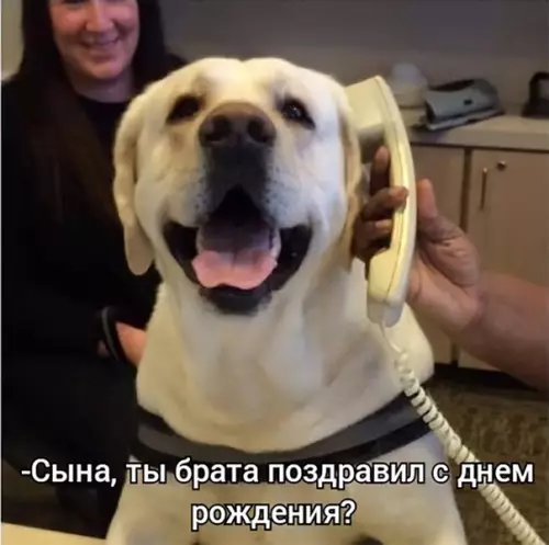 Смешная картинка №586288