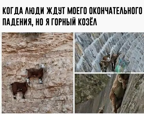 Смешная картинка №302825