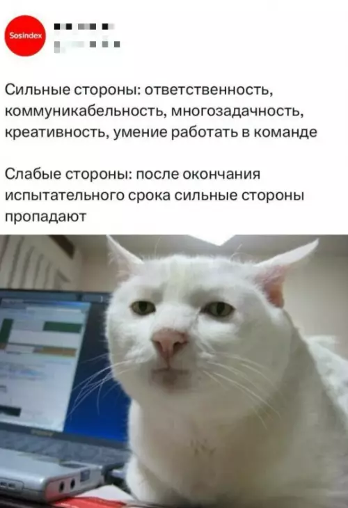 Смешная картинка №783778
