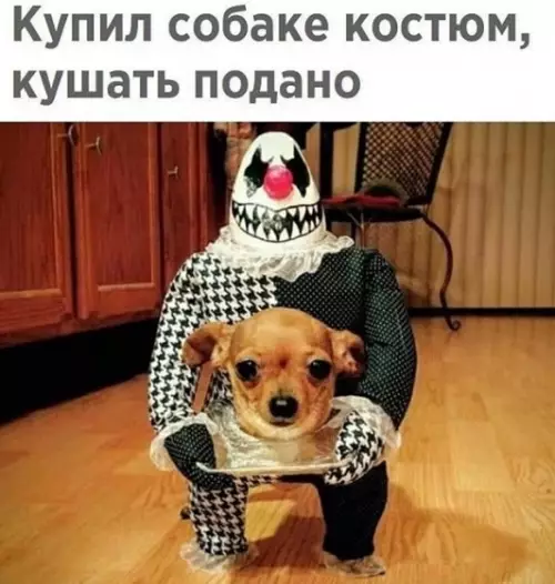 Смешная картинка №454385 Представляю реакцию моей мамы ??