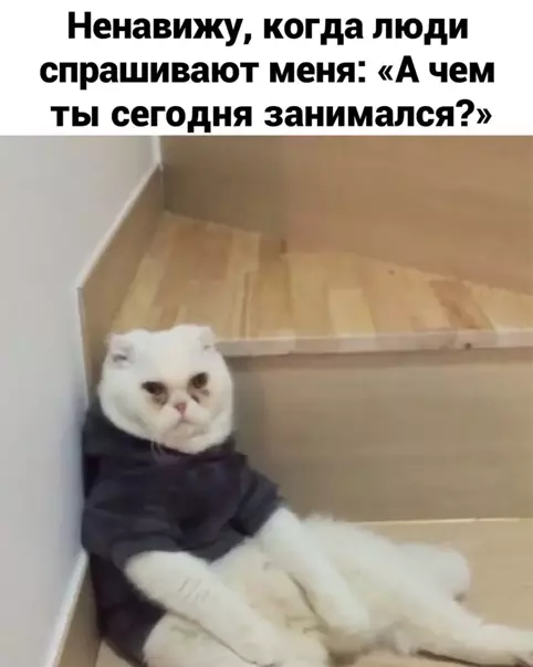 Смешная картинка №540504