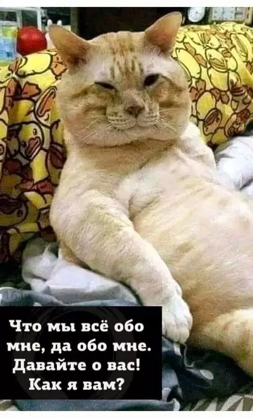 Смешная картинка №734251